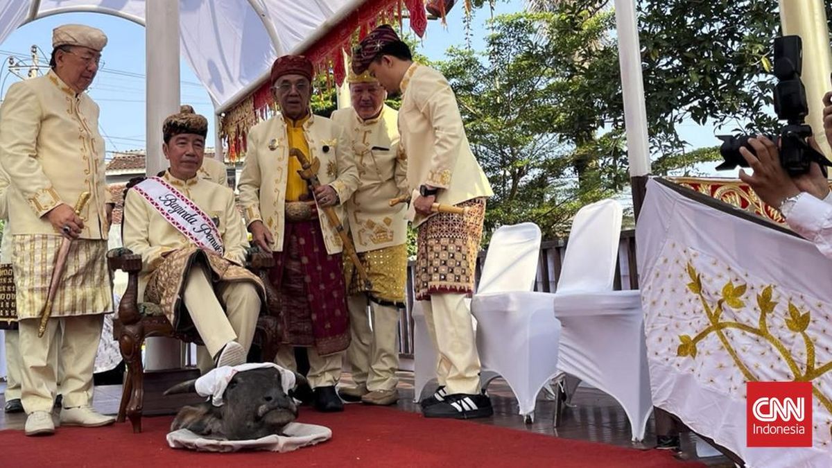 Jokowi Terima Gelar Adat di Ritual Tanah Gajah Lampung