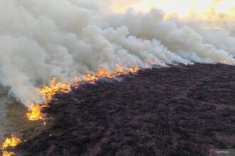 Kebakaran Lahan Melanda Indralaya Utara, Pemadaman Terkendala Angin Kencang