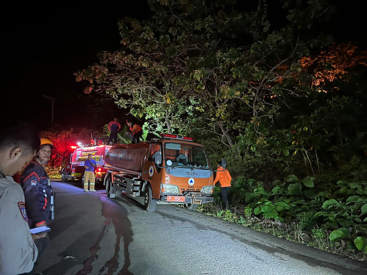 Kebakaran Lahan Sulbar Terhambat Medan Sulit