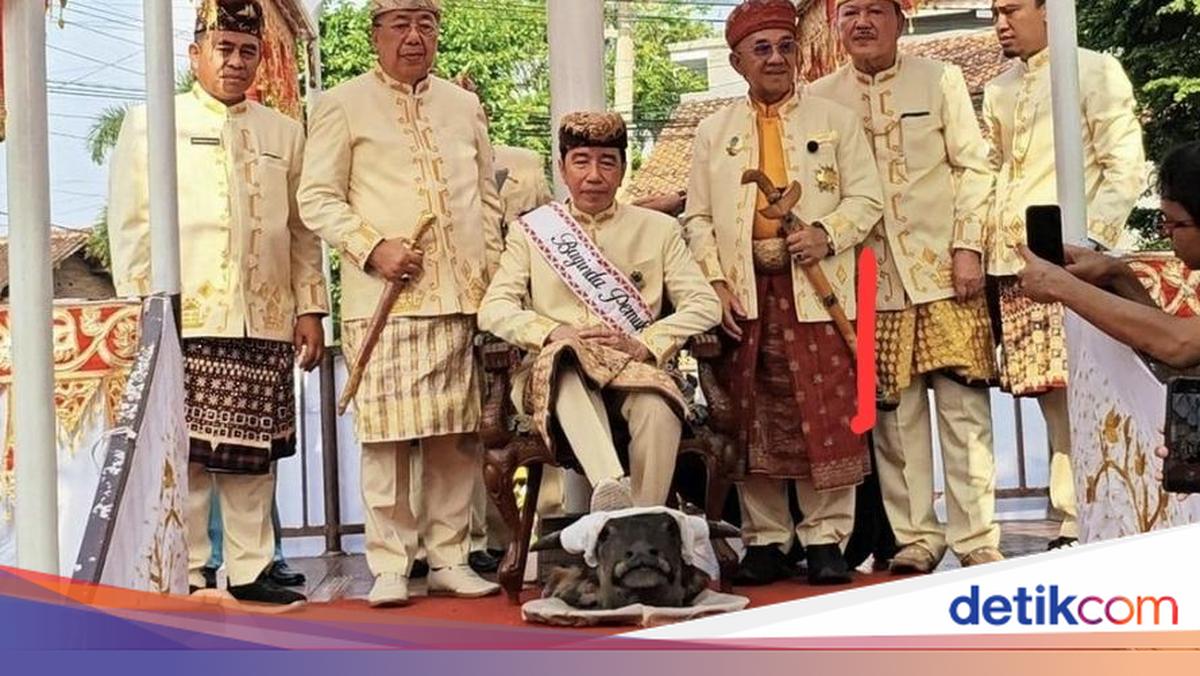 Kontroversi Prosesi Adat Jokowi Injak Kepala Kerbau di Lampung
