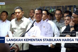 Menteri Pertanian Laporkan 300 Perusahaan Sawit