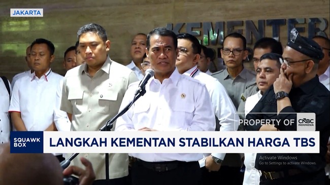 Menteri Pertanian Laporkan 300 Perusahaan Sawit
