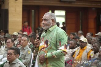 Pemkot Jayapura Siapkan 100 Hektare Lahan untuk Tanam Padi