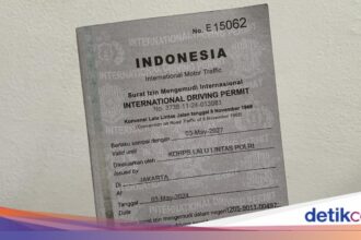 Perbedaan Antara SIM Indonesia dan Internasional
