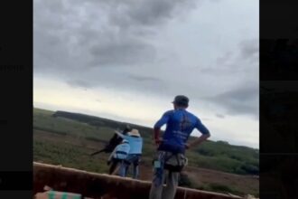 Perempuan Muda Tewas Akibat Bungee Jumping Tanpa Tali di Brasil