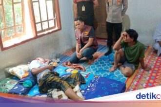 Petani di Musi Rawas Alami Serangan Beruang Saat Berkebun