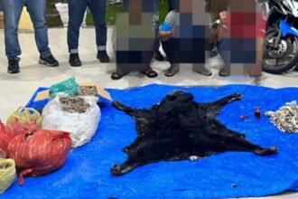 Polisi Amankan Bagian Tubuh Satwa Langka di Simpang Panei