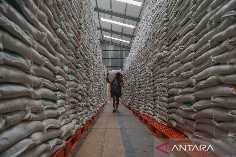Produksi Beras Indonesia Tertinggi di Asia Tenggara, Peringkat Keempat Dunia