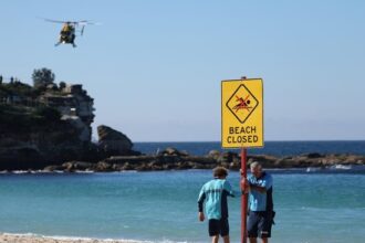 Serangan Hiu di Pantai Sydney Gigit Perenang Wanita
