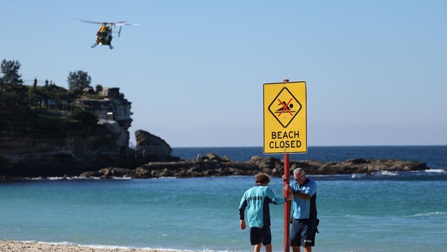 Serangan Hiu di Pantai Sydney Gigit Perenang Wanita