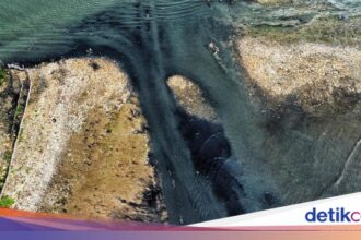 Viral 'Pulau Sampah' di Muara Angke, Tim Gabungan Bergerak