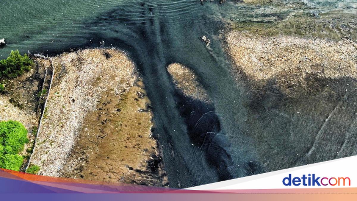 Viral 'Pulau Sampah' di Muara Angke, Tim Gabungan Bergerak