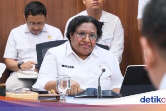 Wamendagri Dorong Percepatan Sentra Pangan-Air Papua Selatan