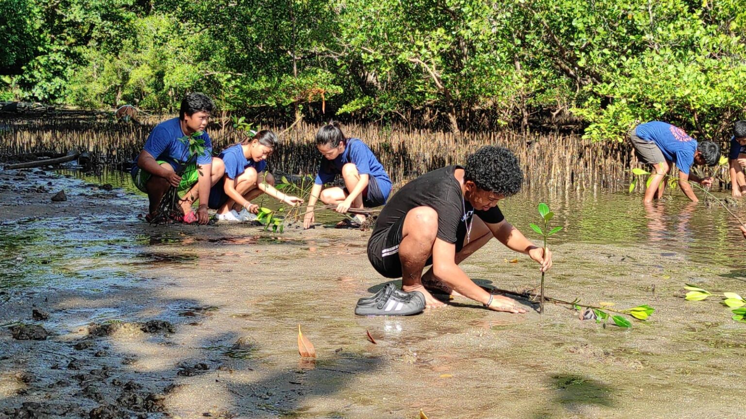 Pelajar SMK Kristen Solagratia Tongkaina tanam mangrove di pesisir pantai Manado