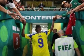 Swedia Bangkit dari Keterpurukan Menuju Kesuksesan Piala Dunia