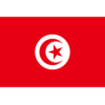 Tunisia vs Japan Preview