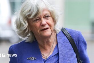 Ann Widdecombe Meninggal Akibat Pukulan Palu: 21 Kali di Kepala