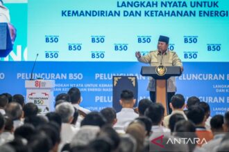 BRIN Temukan Cadangan Emas Baru di Papua, Ungkap Prabowo