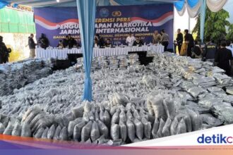 Bea Cukai Bongkar 3,37 Ton Ganja di Gresik Berkat X-ray
