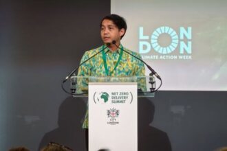 Empat Proyek Perdagangan Karbon Kehutanan Dimulai di Indonesia