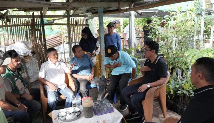 Wawali Kotamobagu ajak generasi muda lirik sektor pertanian