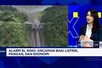 Indonesia Siapkan Strategi Atasi Dampak El Nino pada Pangan dan Listrik