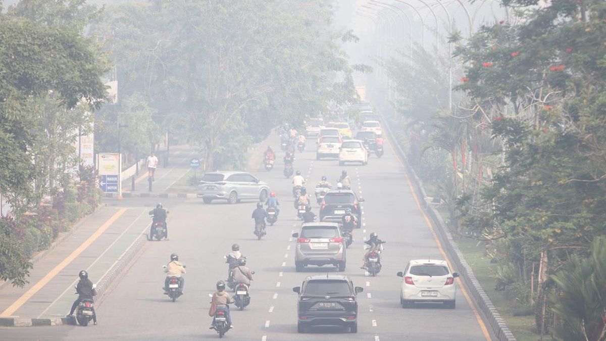 Jam Sekolah di Palangka Raya Dipangkas Akibat Kabut Asap