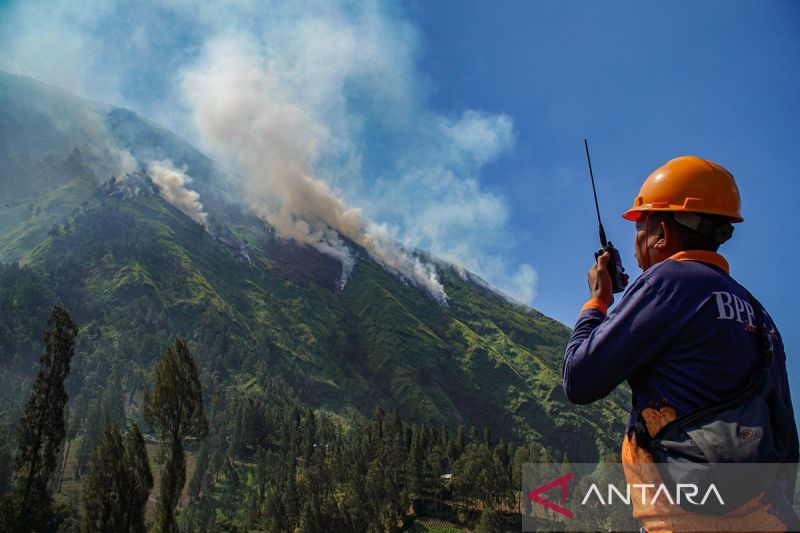 Karhutla Jawa Timur, Kasus Narkoba: Rangkuman Berita Nasional 27 Juli 2026