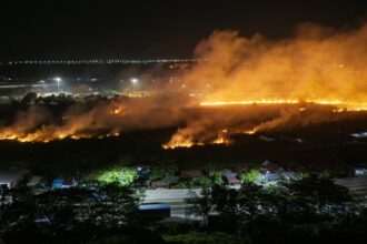Karhutla Menjadi Bencana Paling Banyak Dilaporkan Menurut BNPB