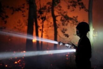 Kebakaran Hebat Fontainebleau Hanguskan 1.300 Hektare Hutan
