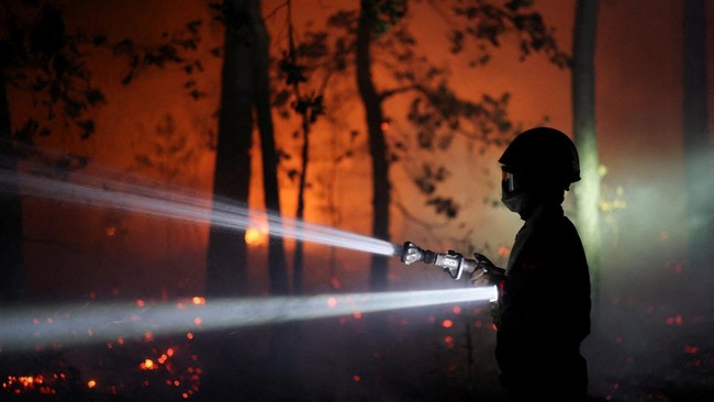 Kebakaran Hebat Fontainebleau Hanguskan 1.300 Hektare Hutan