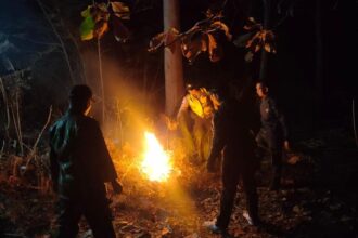 Kebakaran Hutan 2,3 Hektare di Ponorogo Diduga Ulah OTK