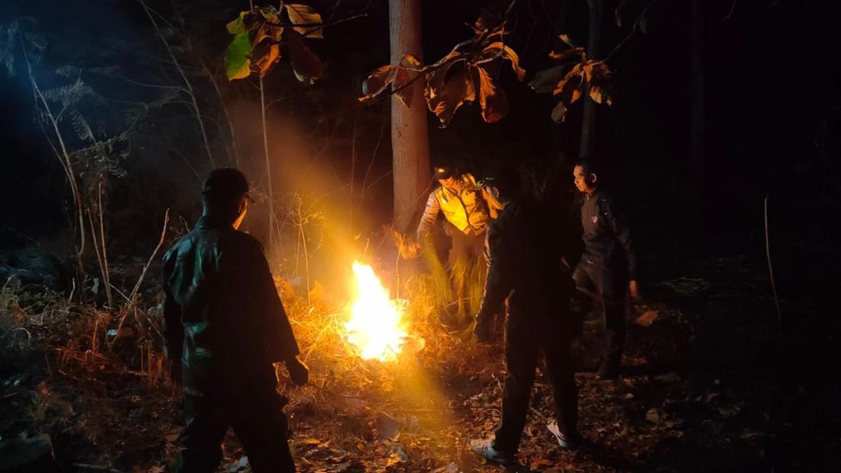 Kebakaran Hutan 2,3 Hektare di Ponorogo Diduga Ulah OTK
