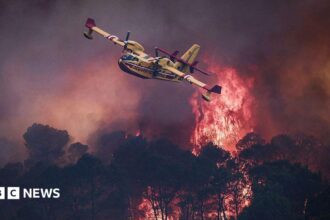 Kebakaran Hutan Dahsyat di Eropa: Peta dan Penanganannya
