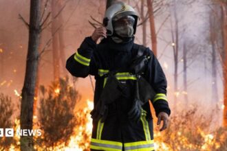Kebakaran Hutan Dekati Bordeaux, Wali Kota Siap Antisipasi