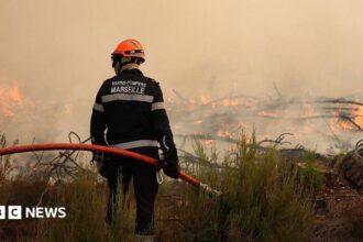 Kebakaran Hutan di Bordeaux Memaksa Puluhan Ribu Orang Mengungsi