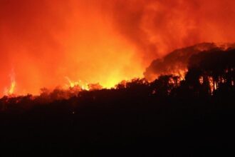 Kebakaran Spanyol Telan 57.000 Hektare Lahan: 12 Tewas, 23 Hilang
