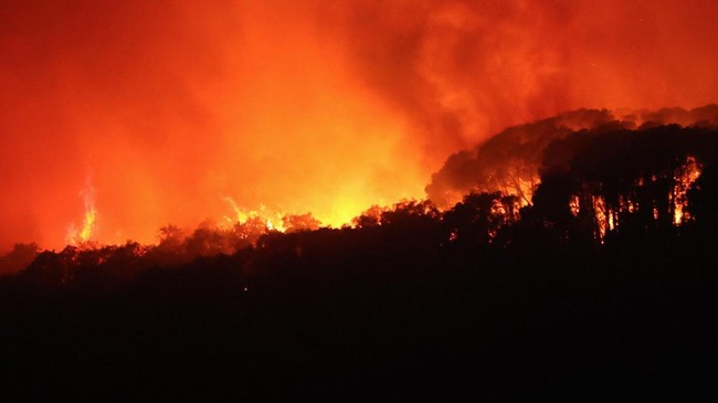 Kebakaran Spanyol Telan 57.000 Hektare Lahan: 12 Tewas, 23 Hilang