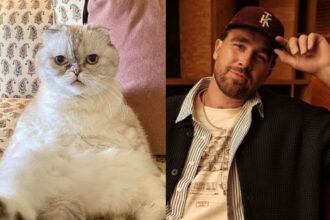 Kekayaan Travis Kelce Setara Kucing Taylor Swift