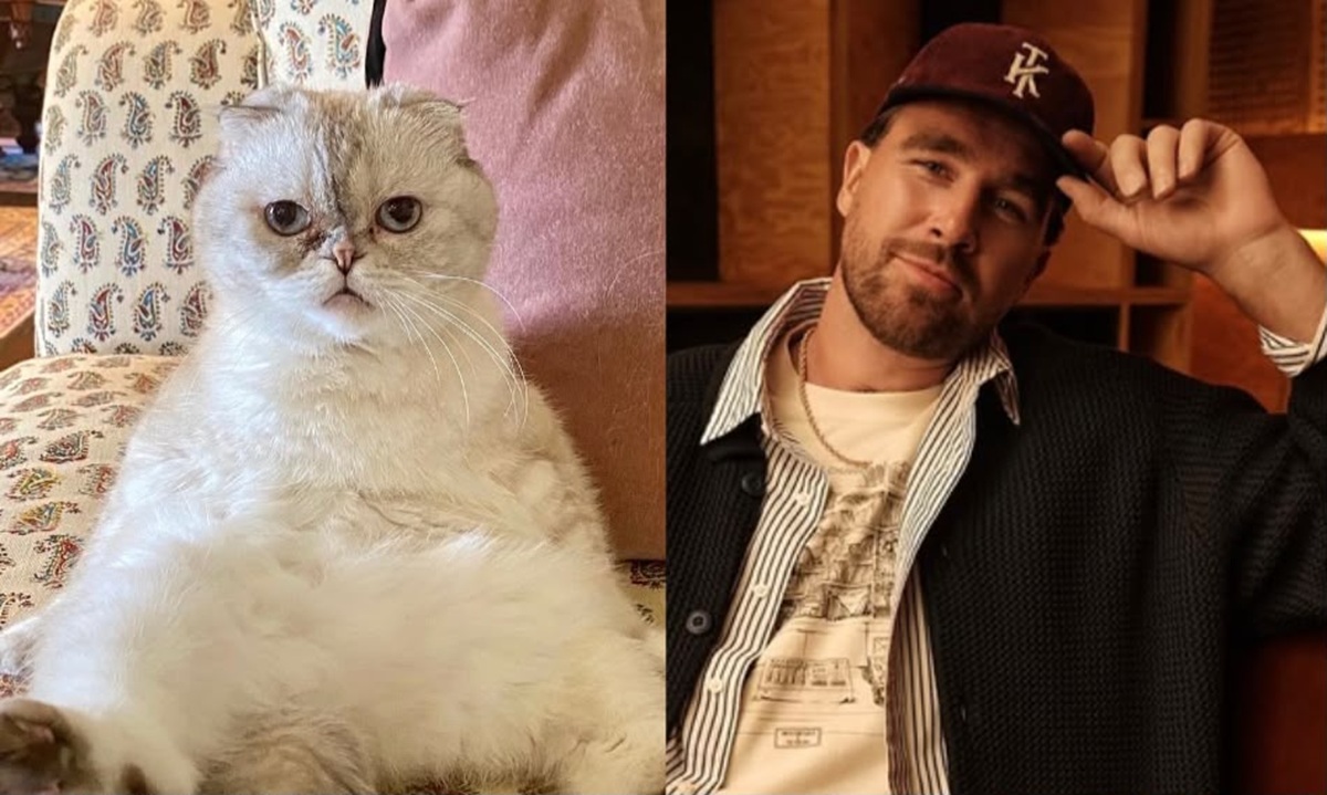 Kekayaan Travis Kelce Setara Kucing Taylor Swift