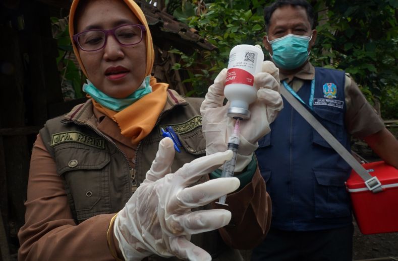 Kulon Progo Kekurangan Vaksin PMK, Upaya Tambahan dari Pusat Dilakukan