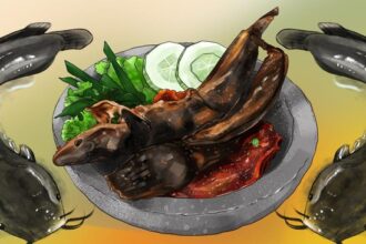Lele: Ikan Favorit yang Menyerap Racun dalam Air