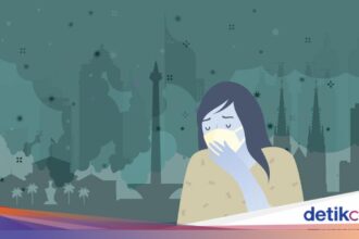 Mengapa Polusi Partikulat Harus Diwaspadai? Analisis Sumber dan Risiko