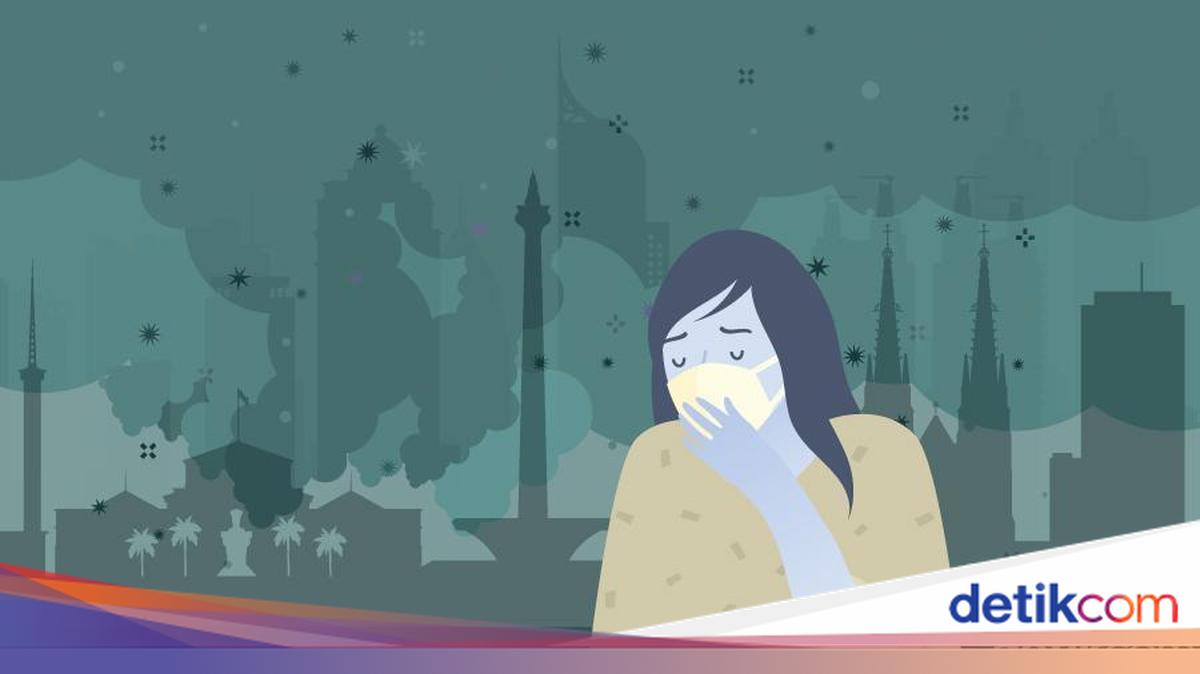 Mengapa Polusi Partikulat Harus Diwaspadai? Analisis Sumber dan Risiko