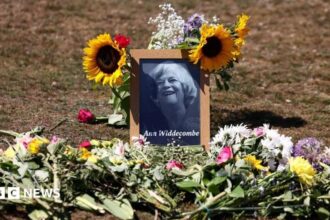 Misteri Kasus Pembunuhan Ann Widdecombe Guncang Haytor Vale