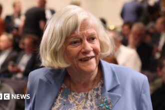 Motif Politik Tidak Diduga dalam Pembunuhan Ann Widdecombe
