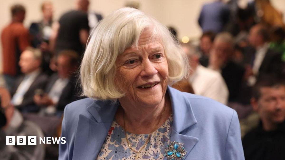 Motif Politik Tidak Diduga dalam Pembunuhan Ann Widdecombe