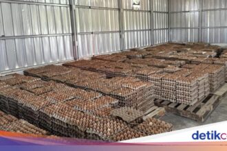 Narapidana Lapas Ciangir Hasilkan Rp 800 Ribu Per Bulan dari Peternakan