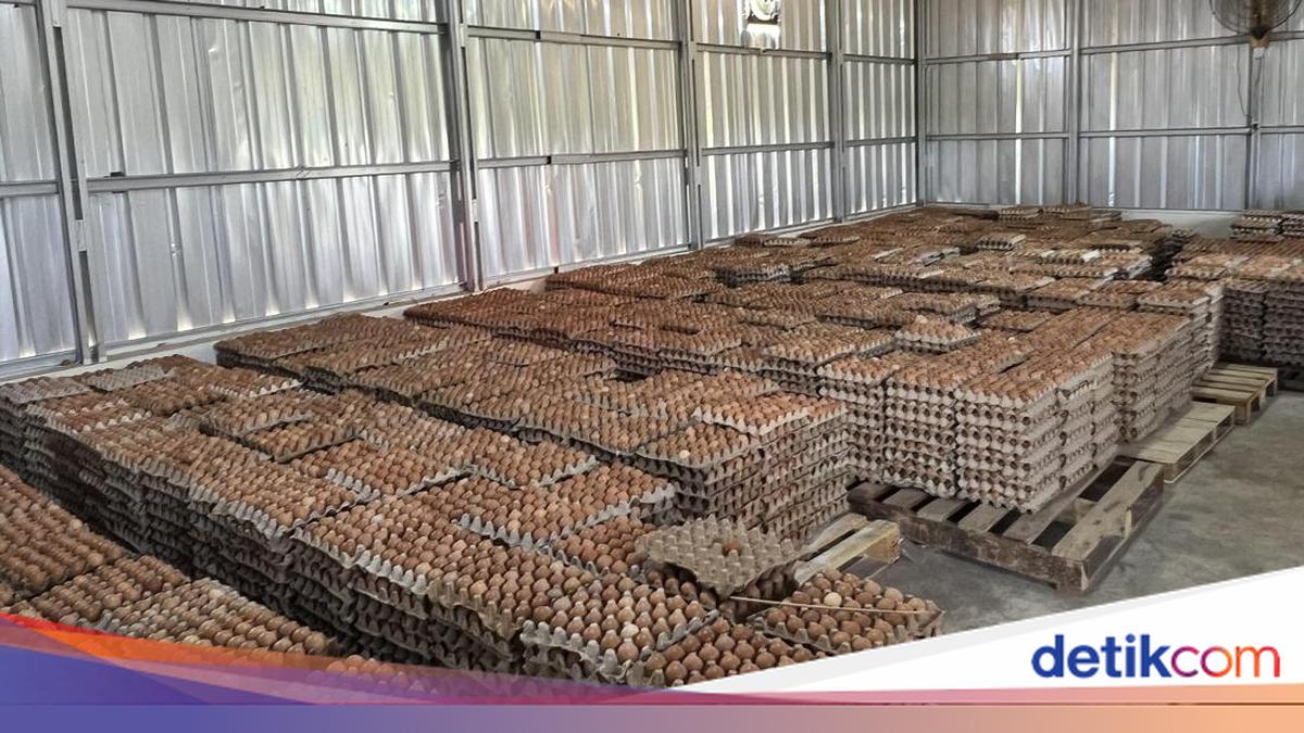 Narapidana Lapas Ciangir Hasilkan Rp 800 Ribu Per Bulan dari Peternakan