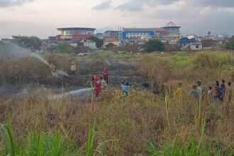Patroli Bersama Walhi dan Polhut BBKSDA Cegah Karhutla di Jawa Barat